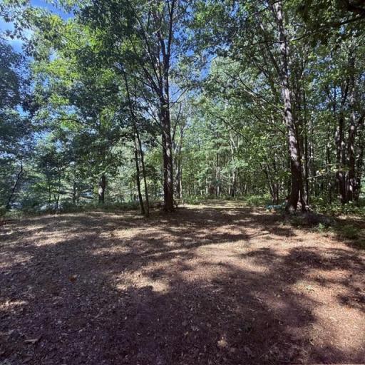 TBD W Lilja Avenue, Shell Lake, WI 54871