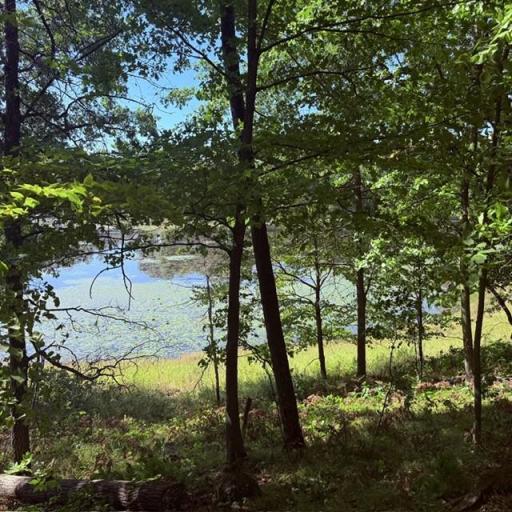 TBD W Lilja Avenue, Shell Lake, WI 54871