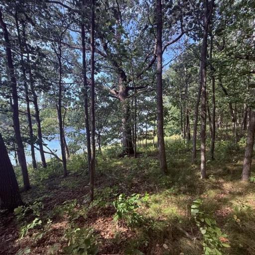 TBD W Lilja Avenue, Shell Lake, WI 54871