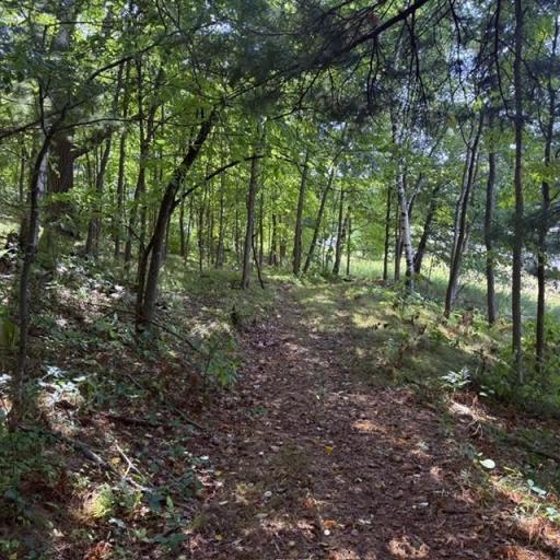 TBD W Lilja Avenue, Shell Lake, WI 54871