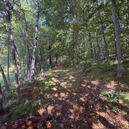 TBD W Lilja Avenue, Shell Lake, WI 54871