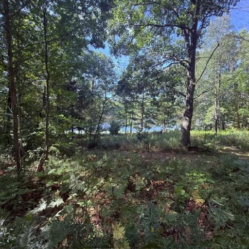 TBD W Lilja Avenue, Shell Lake, WI 54871