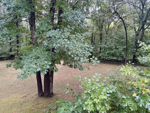 12590 Carow Circle, Frazee, MN 56544