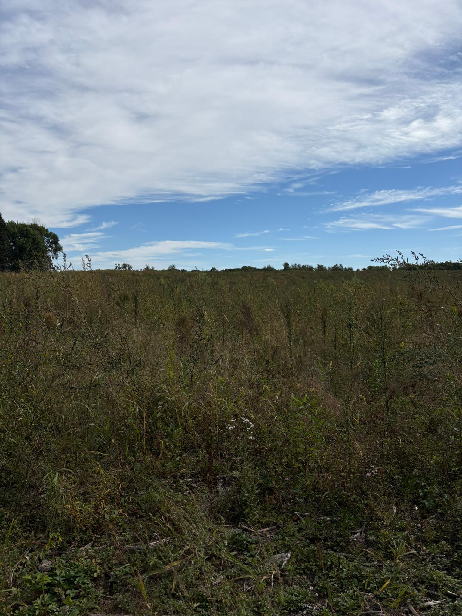 Property photo for TBD Holman Avenue, Harris, MN 55032