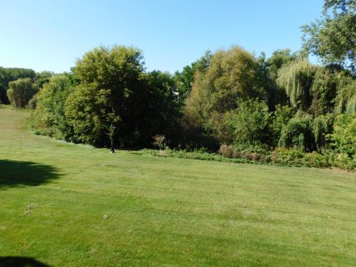 DSCN0126.JPG