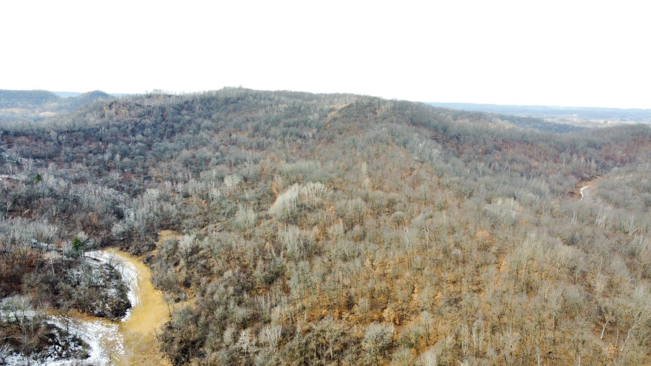39-dji_fly_20250226_124510_945_1740595625012_photo_optimized.jpg
