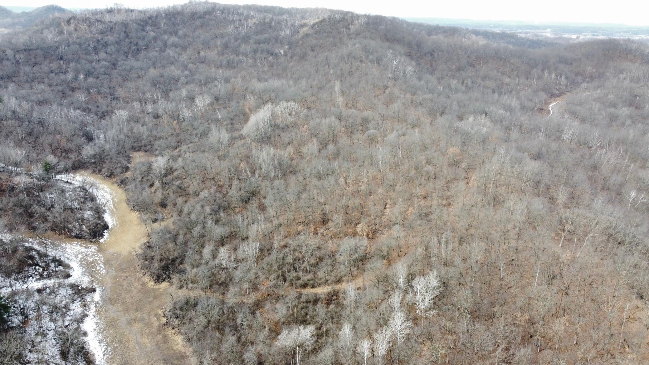 40-dji_fly_20250226_124518_946_1740595616266_photo_optimized.jpg