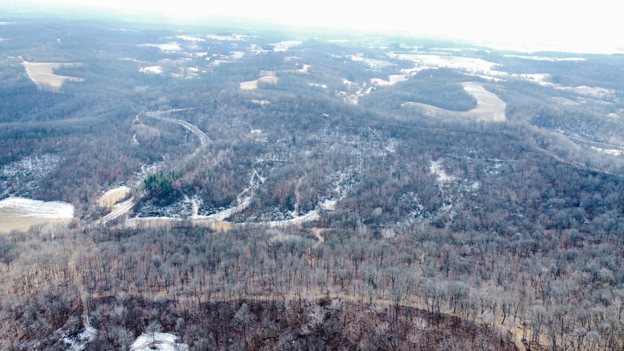 61-dji_fly_20250226_124958_967_1740595876198_photo_optimized.jpg