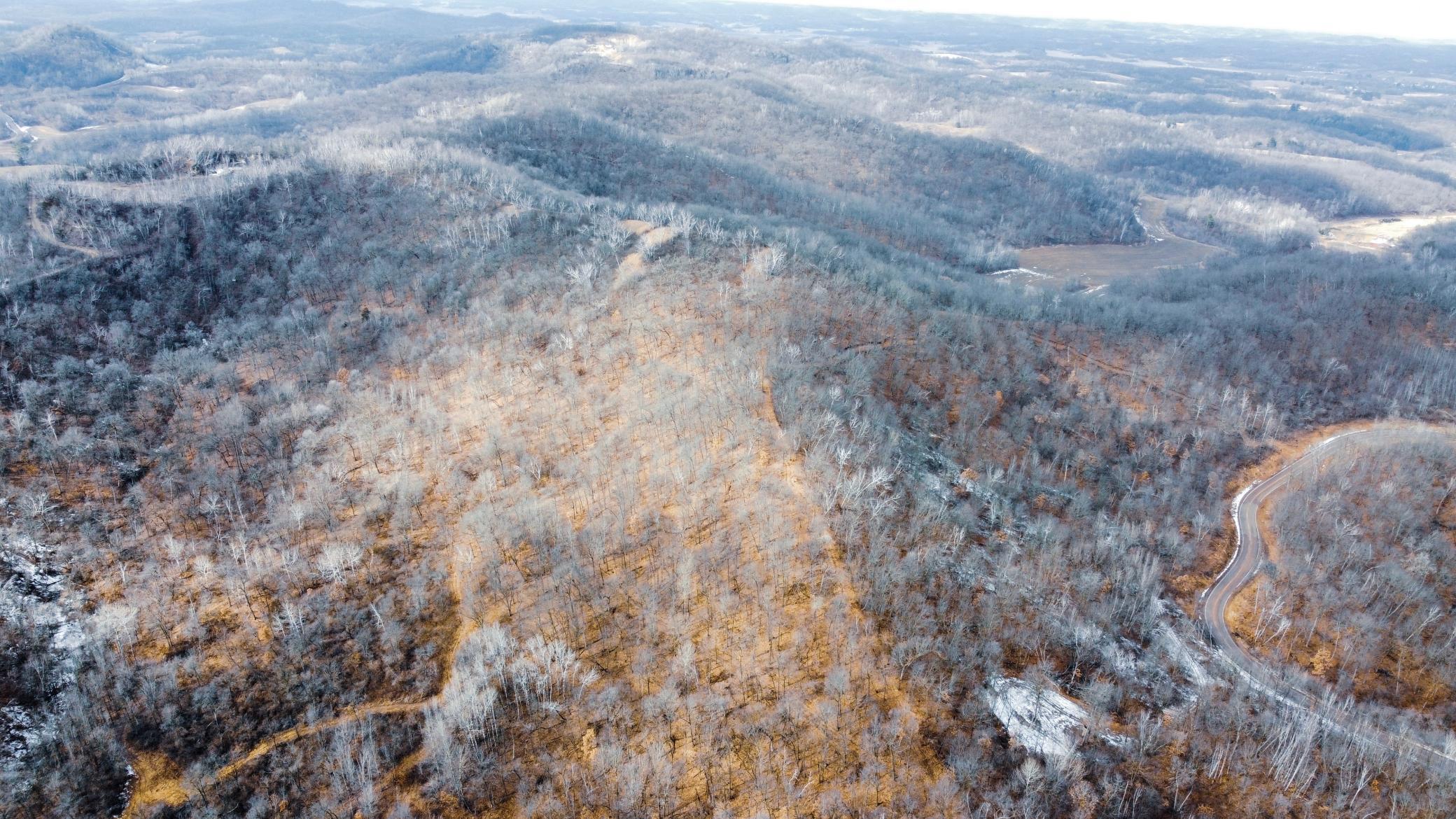 68-dji_fly_20250226_125116_974_1740595926269_photo_optimized.jpg