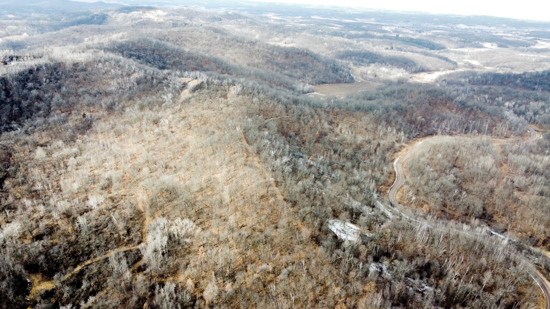 69-dji_fly_20250226_125122_975_1740595936923_photo_optimized.jpg