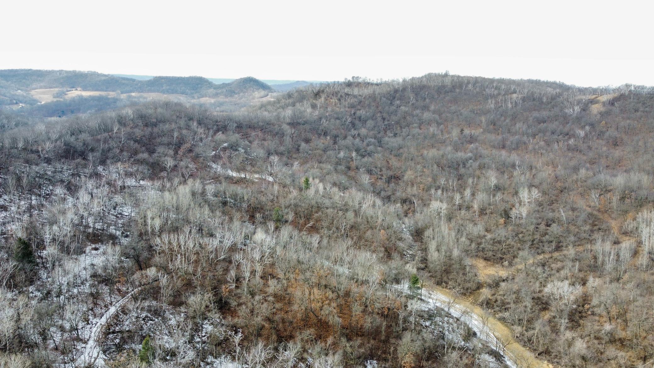 42-dji_fly_20250226_124546_948_1740595634037_photo_optimized.jpg