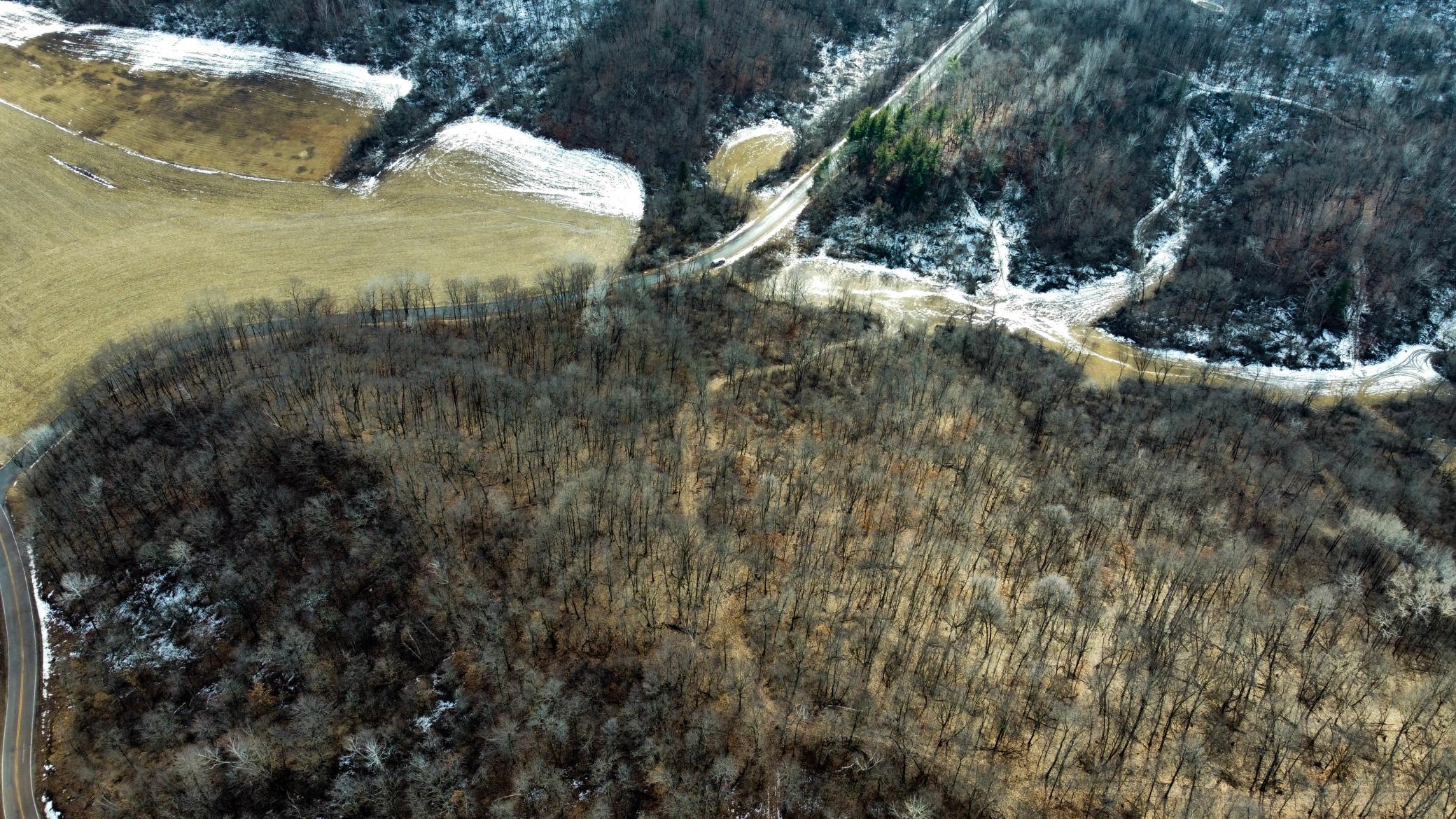 65-dji_fly_20250226_125036_971_1740595923143_photo_optimized.jpg