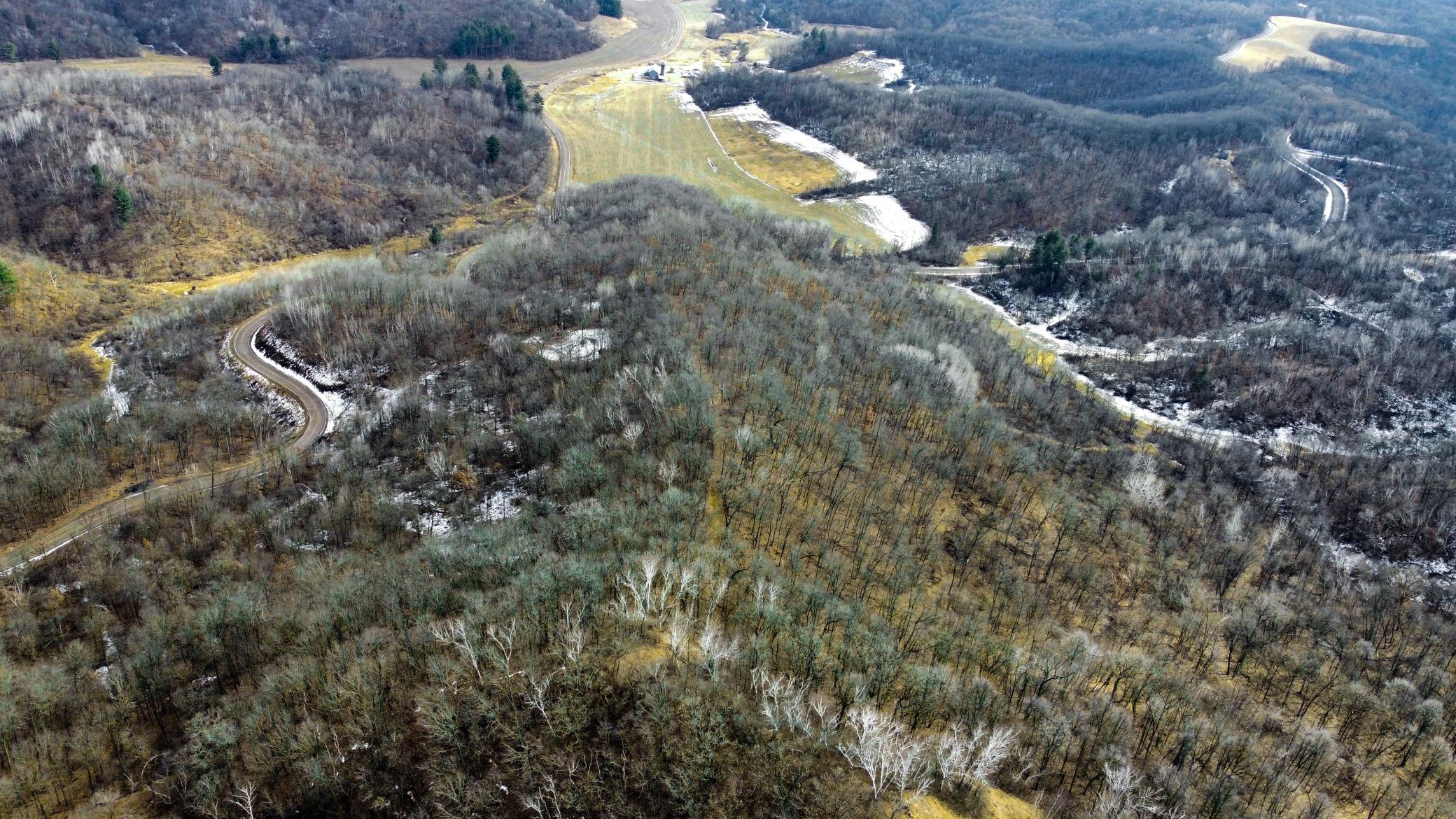 54-dji_fly_20250226_124856_960_1740595872745_photo_optimized.jpg