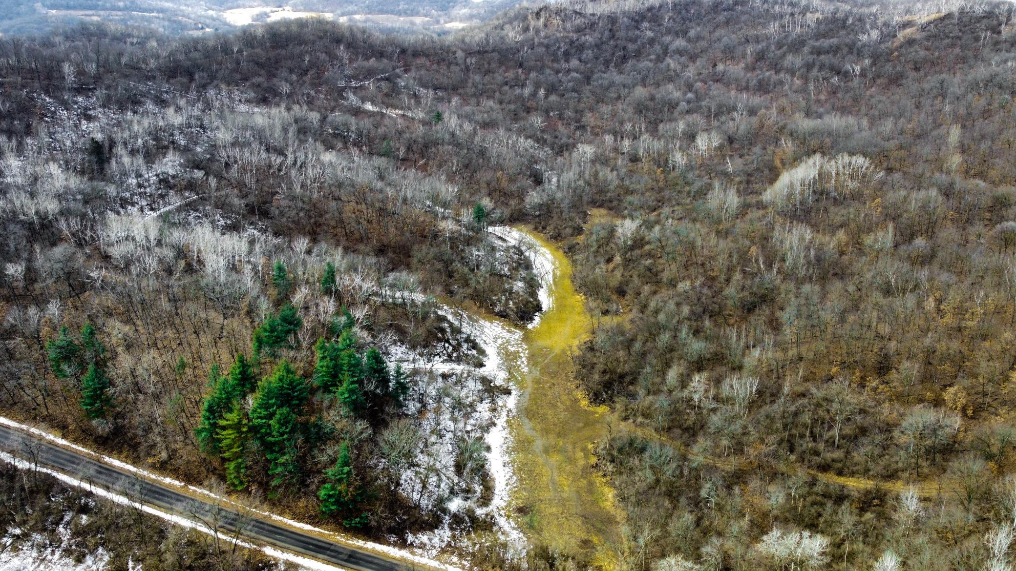38-dji_fly_20250226_124506_944_1740595552961_photo_optimized.jpg