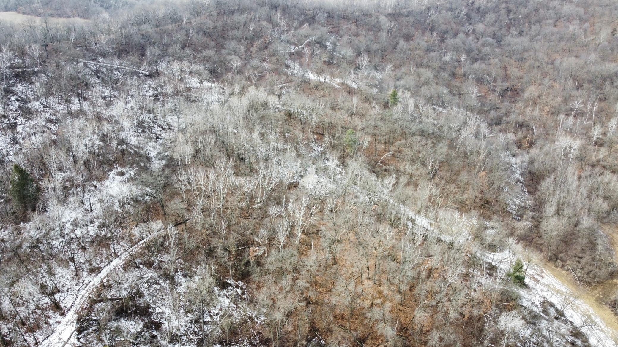 43-dji_fly_20250226_124558_949_1740595629245_photo_optimized.jpg
