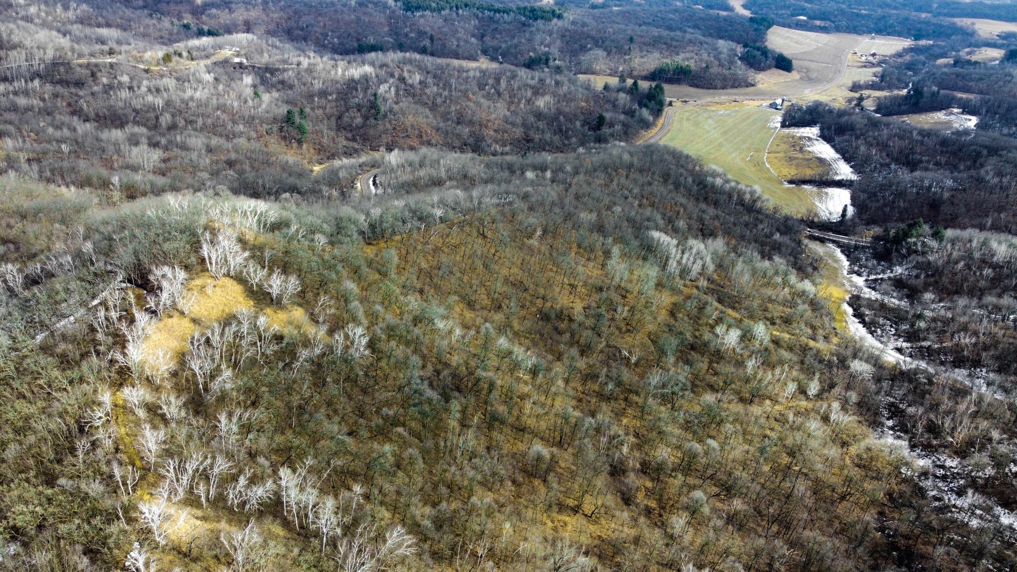 50-dji_fly_20250226_124754_956_1740595687365_photo_optimized.jpg
