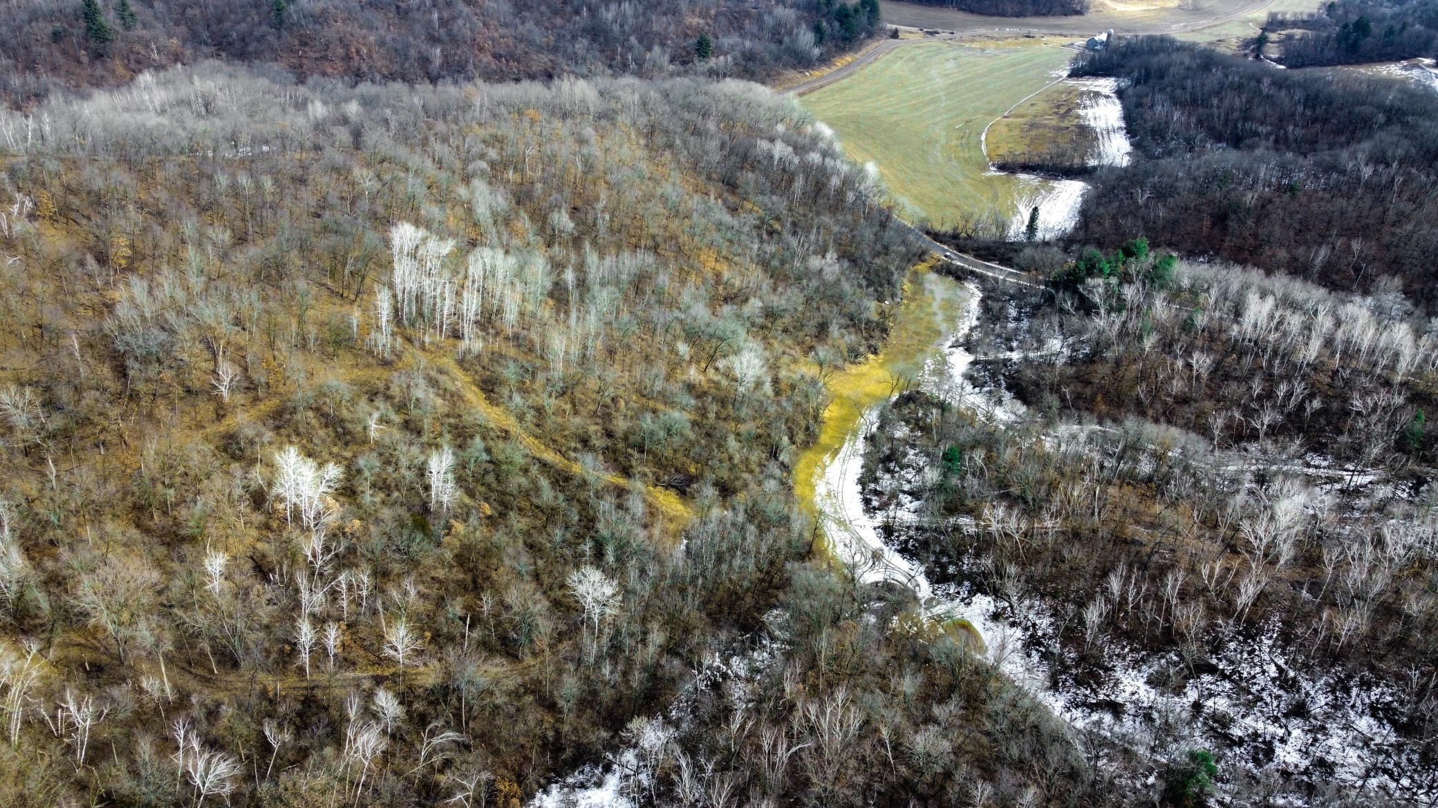 48-dji_fly_20250226_124702_954_1740595639211_photo_optimized.jpg