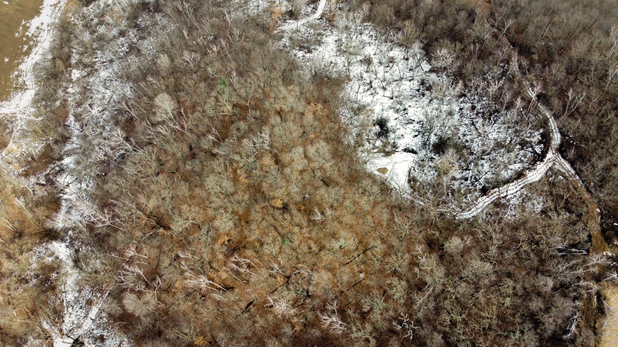 53-dji_fly_20250226_124840_959_1740595824400_photo_optimized.jpg