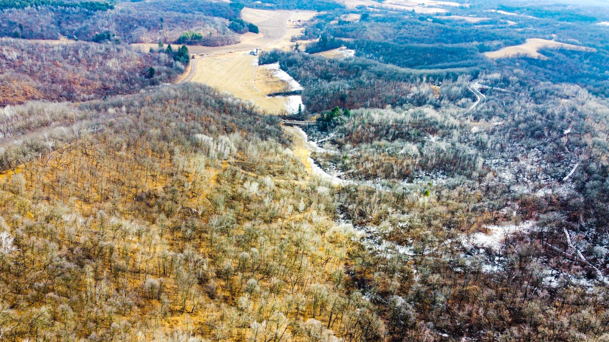 51-dji_fly_20250226_124758_957_1740595820423_photo_optimized.jpg
