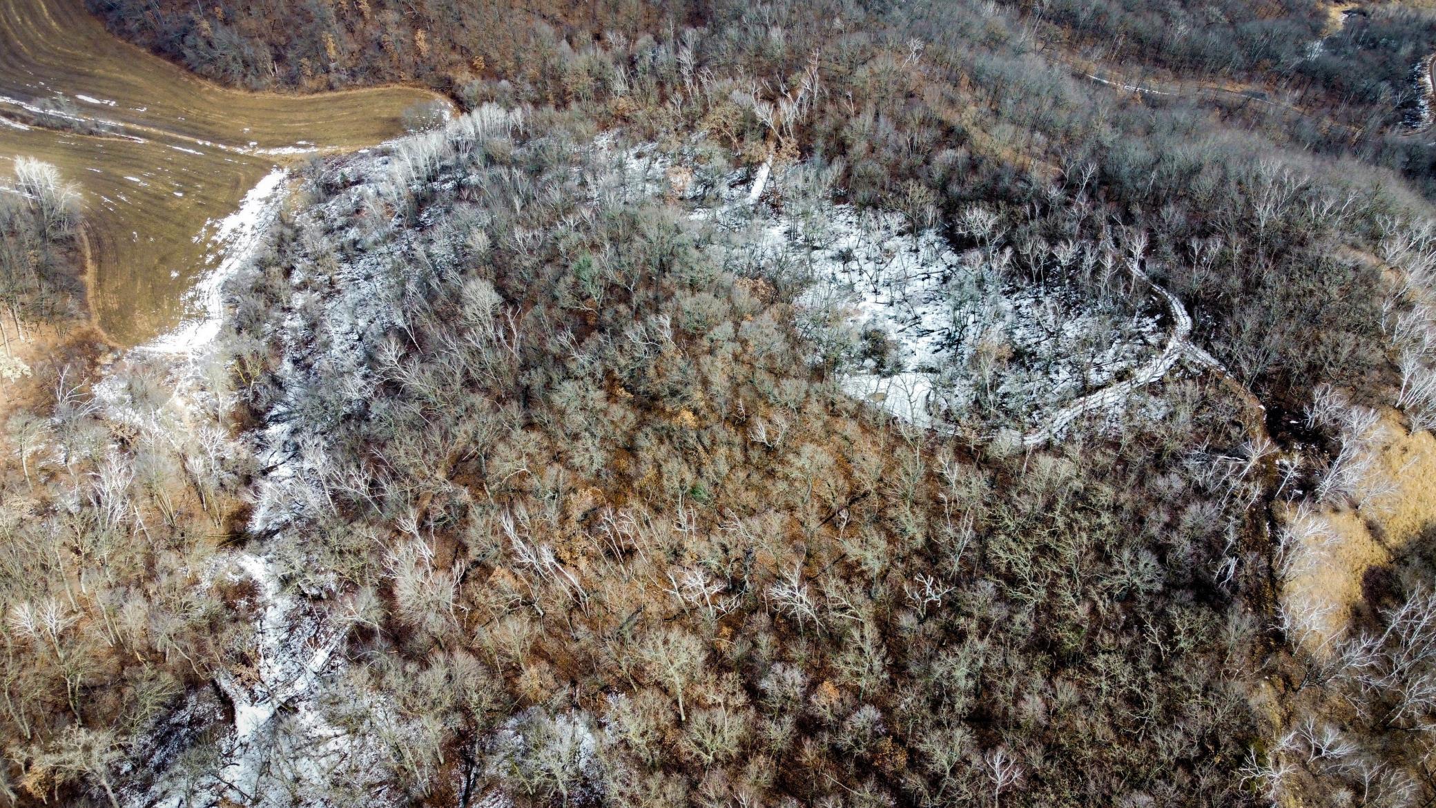 52-dji_fly_20250226_124832_958_1740595816825_photo_optimized.jpg