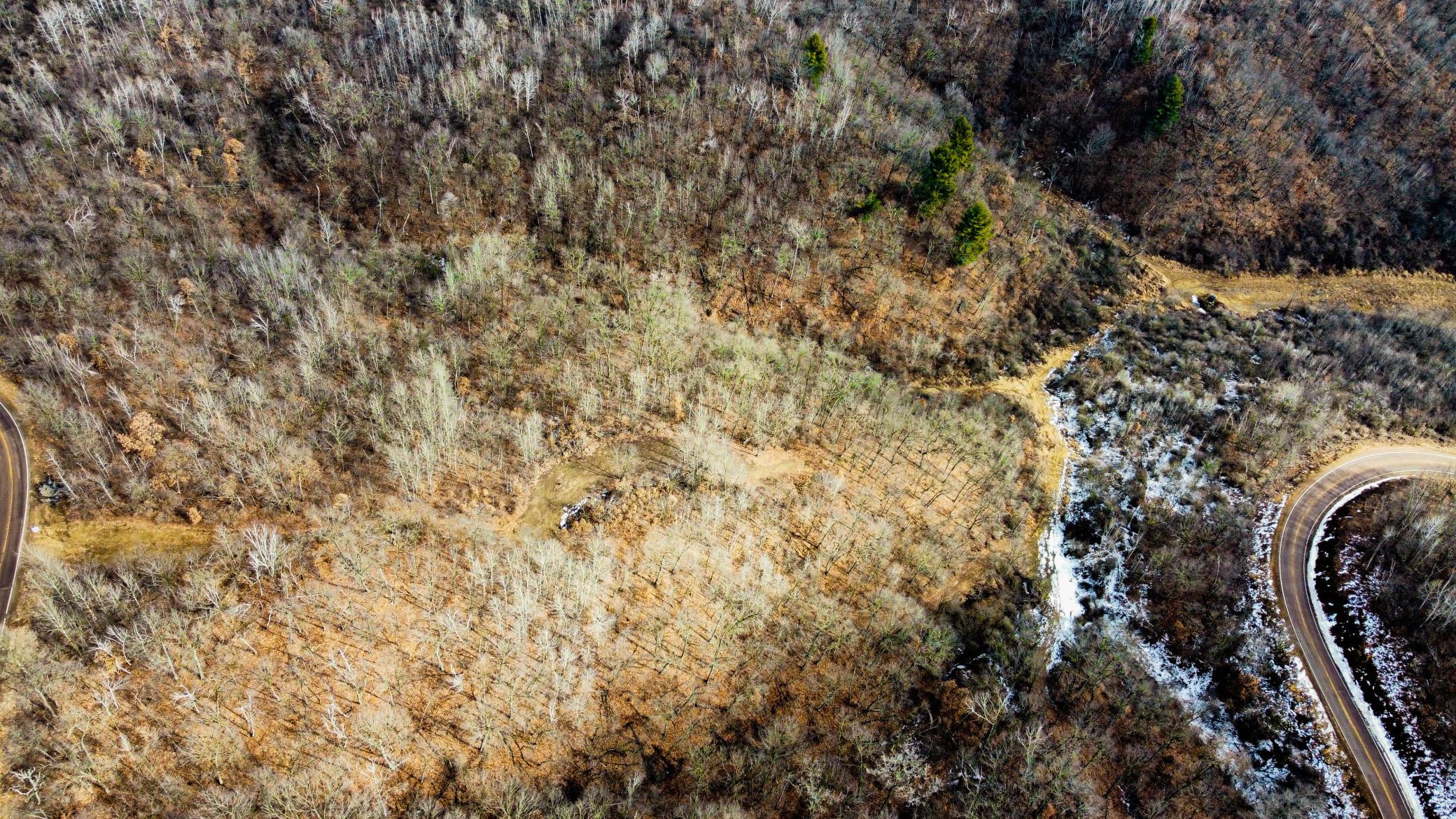 57-dji_fly_20250226_124938_963_1740595829976_photo_optimized.jpg