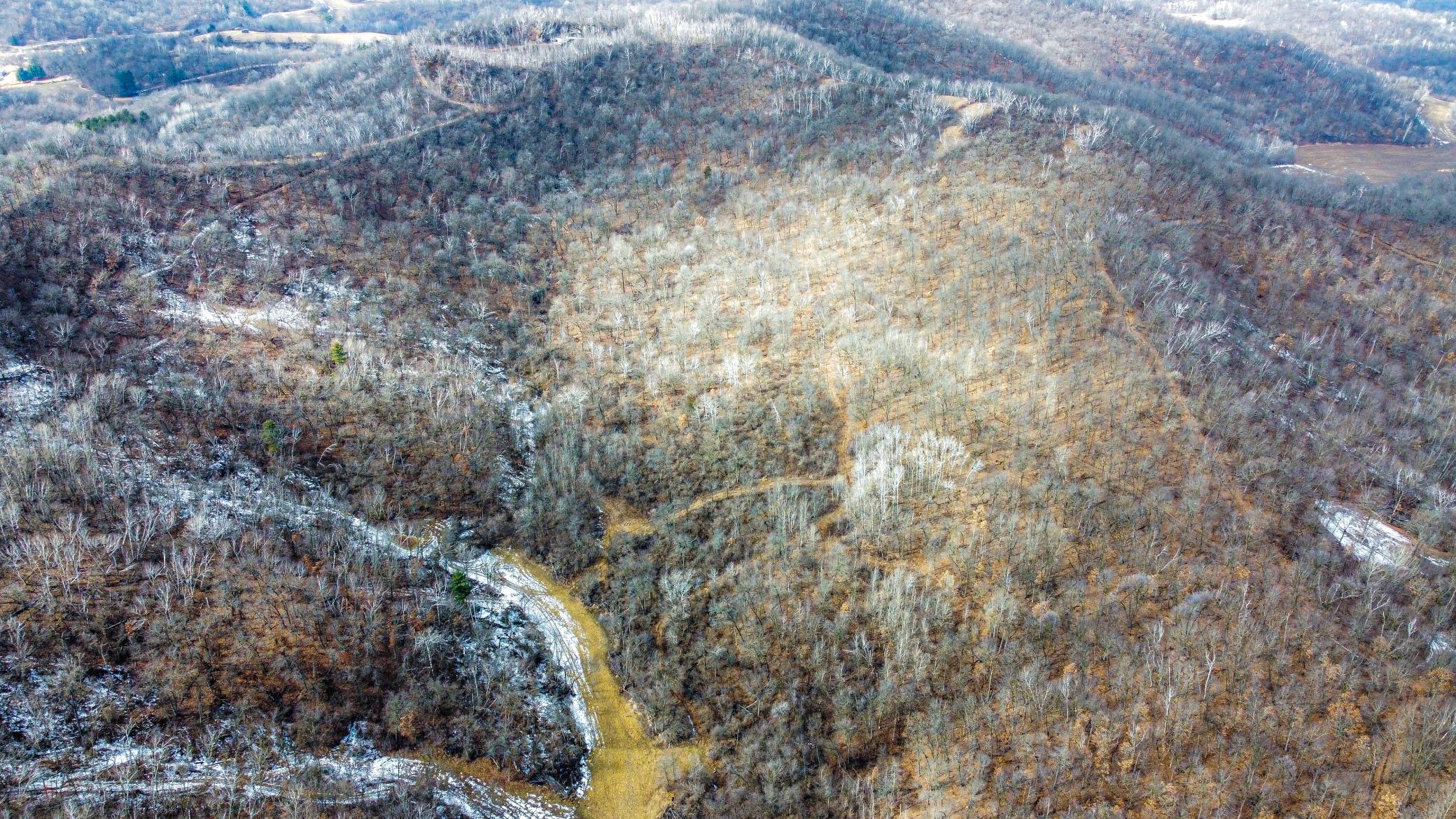 70-dji_fly_20250226_125126_976_1740595940156_photo_optimized.jpg