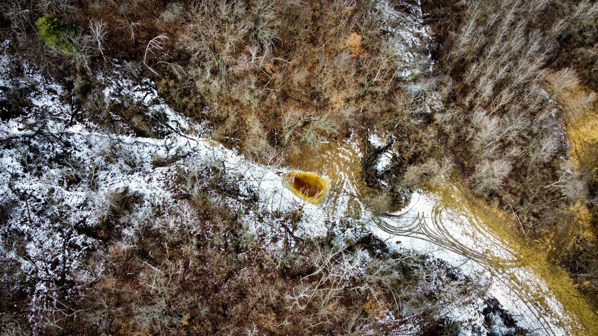 44-dji_fly_20250226_124616_950_1740595667223_photo_optimized.jpg