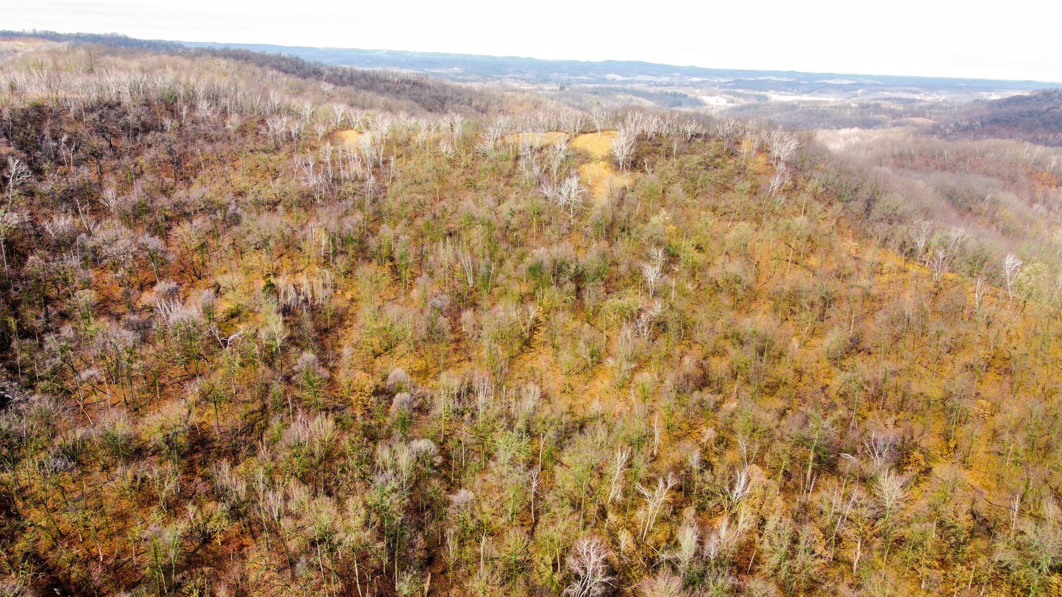 45-dji_fly_20250226_124630_951_1740595657544_photo_optimized.jpg