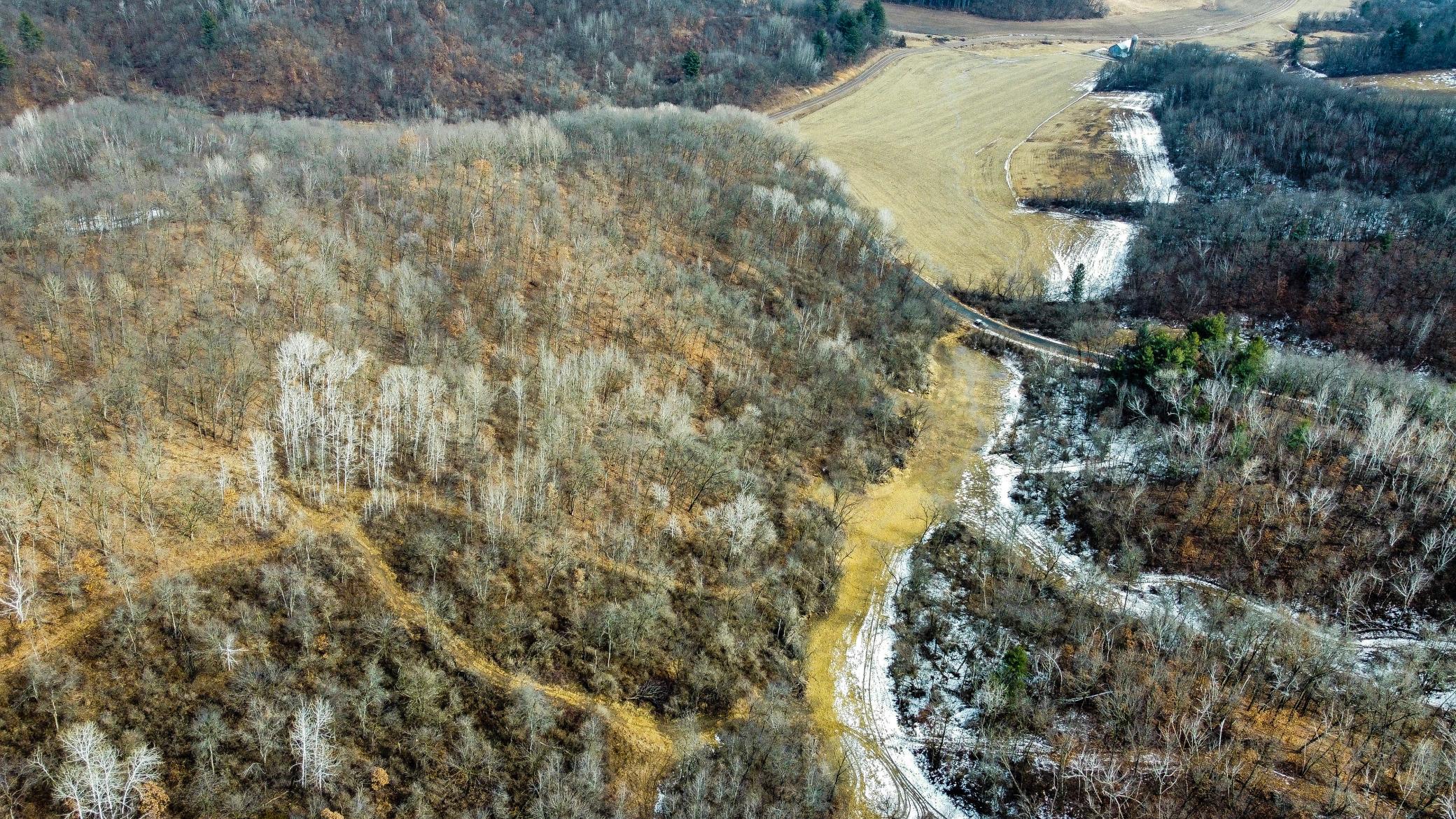 47-dji_fly_20250226_124654_953_1740595645003_photo_optimized.jpg