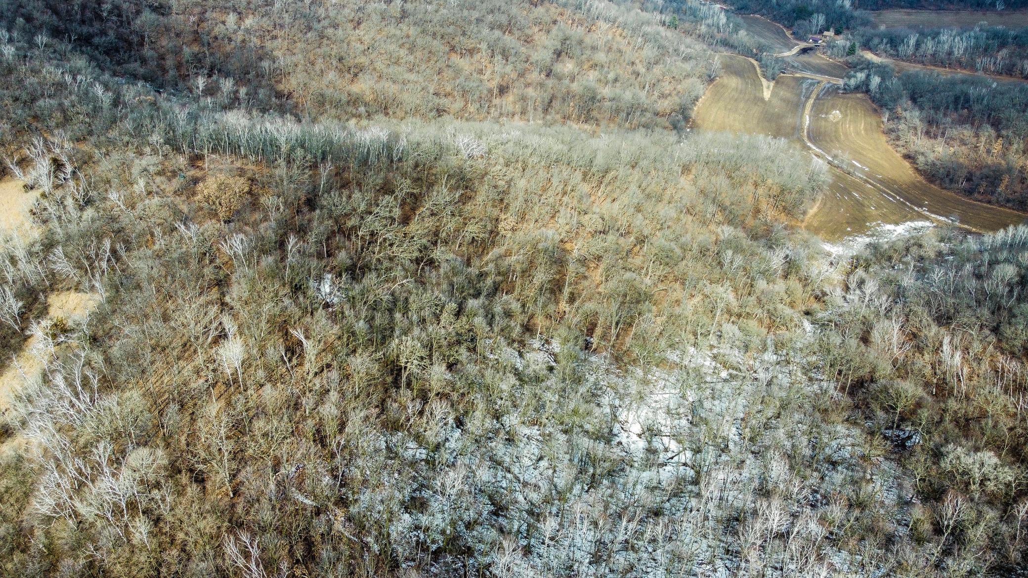 49-dji_fly_20250226_124746_955_1740595673879_photo_optimized.jpg