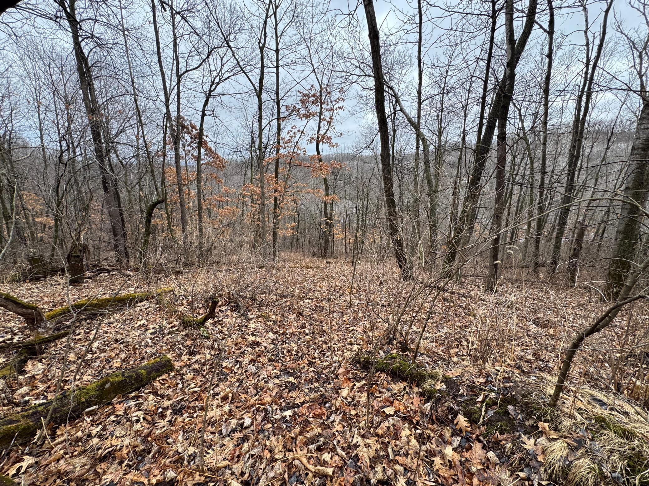 23-IMG_0298.jpg