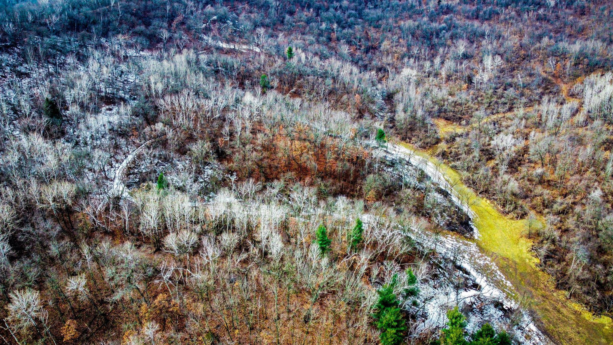 41-dji_fly_20250226_124540_947_1740595556881_photo_optimized.jpg