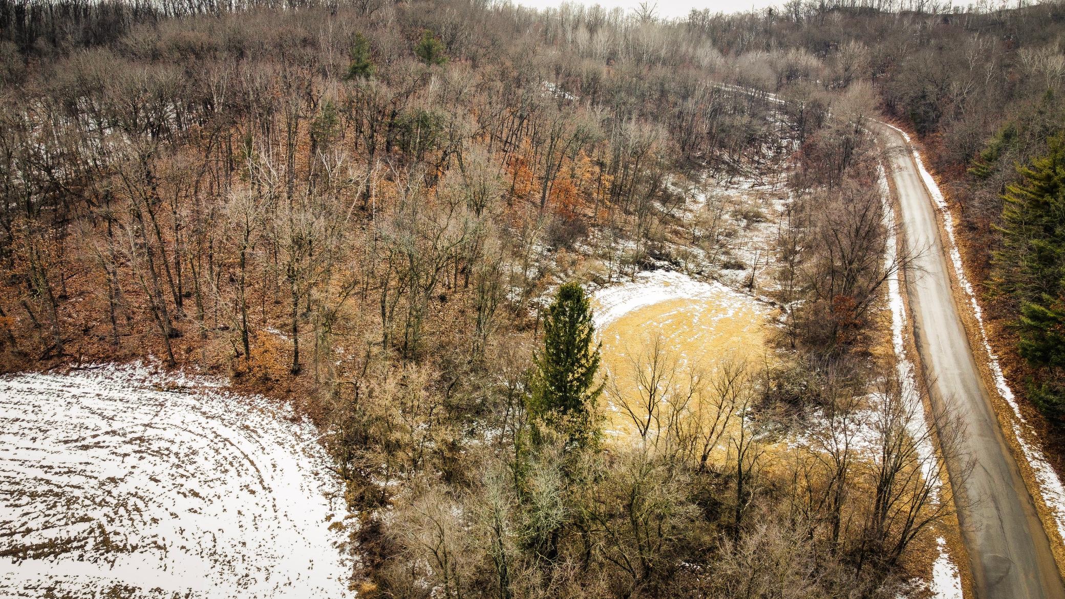 37-dji_fly_20250226_124424_943_1740595504703_photo_optimized.jpg