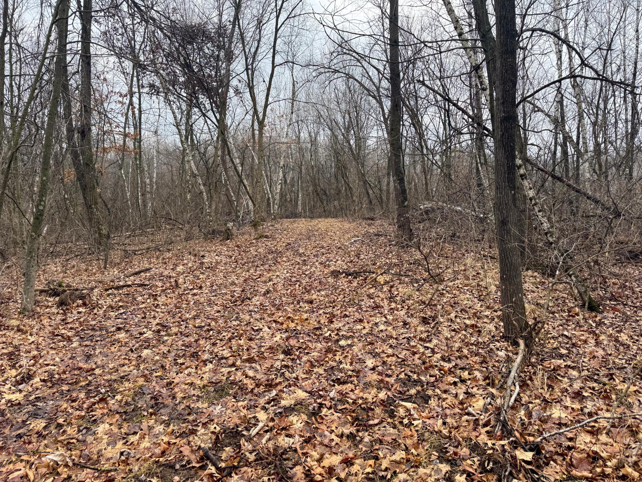 8-IMG_0283.jpg