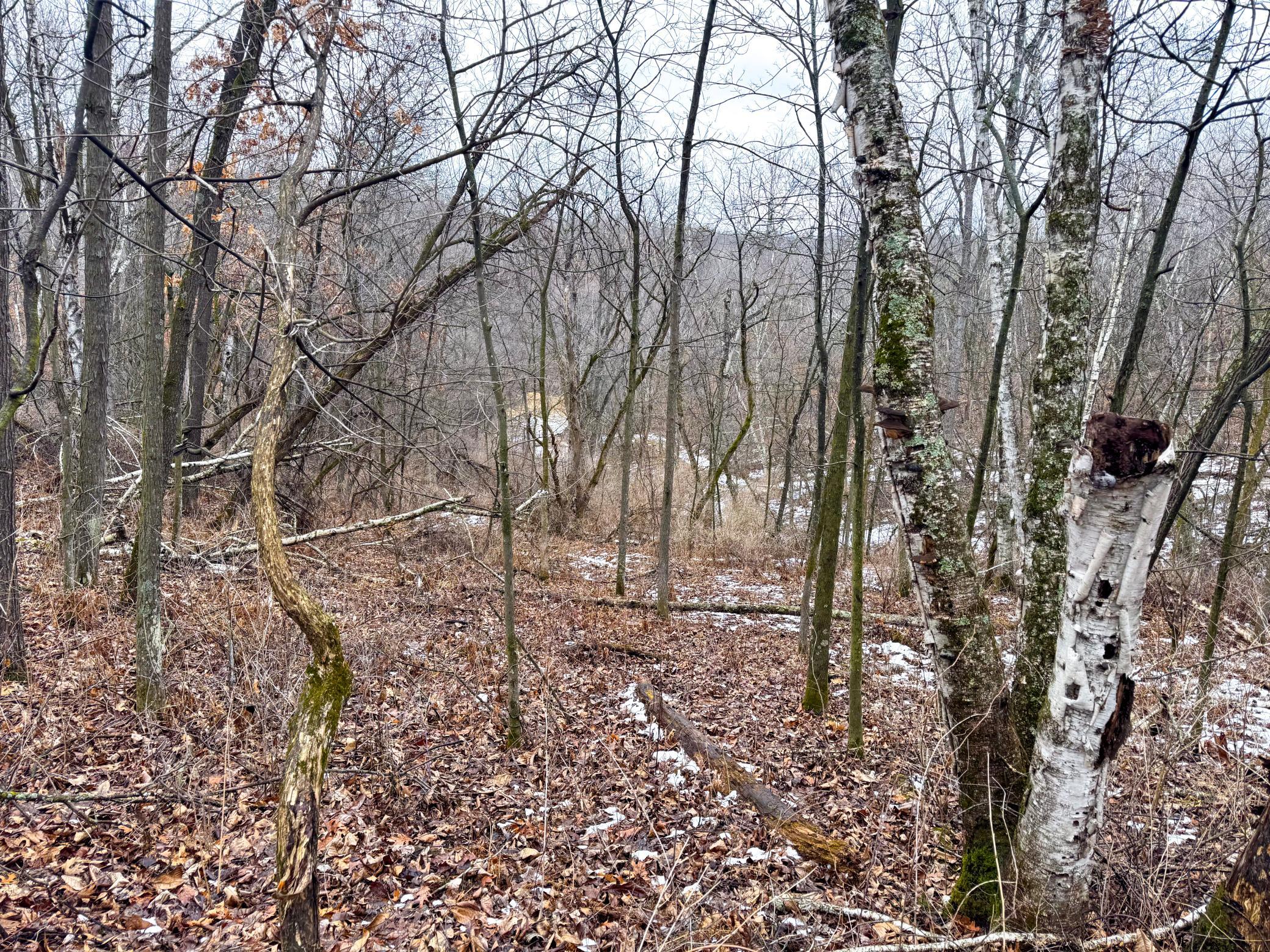 12-IMG_0287.jpg