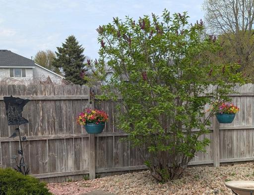 7224 96th Street S, Cottage Grove, MN 55016