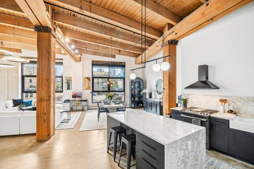 404 Washington Avenue N, 202, Minneapolis, MN 55401