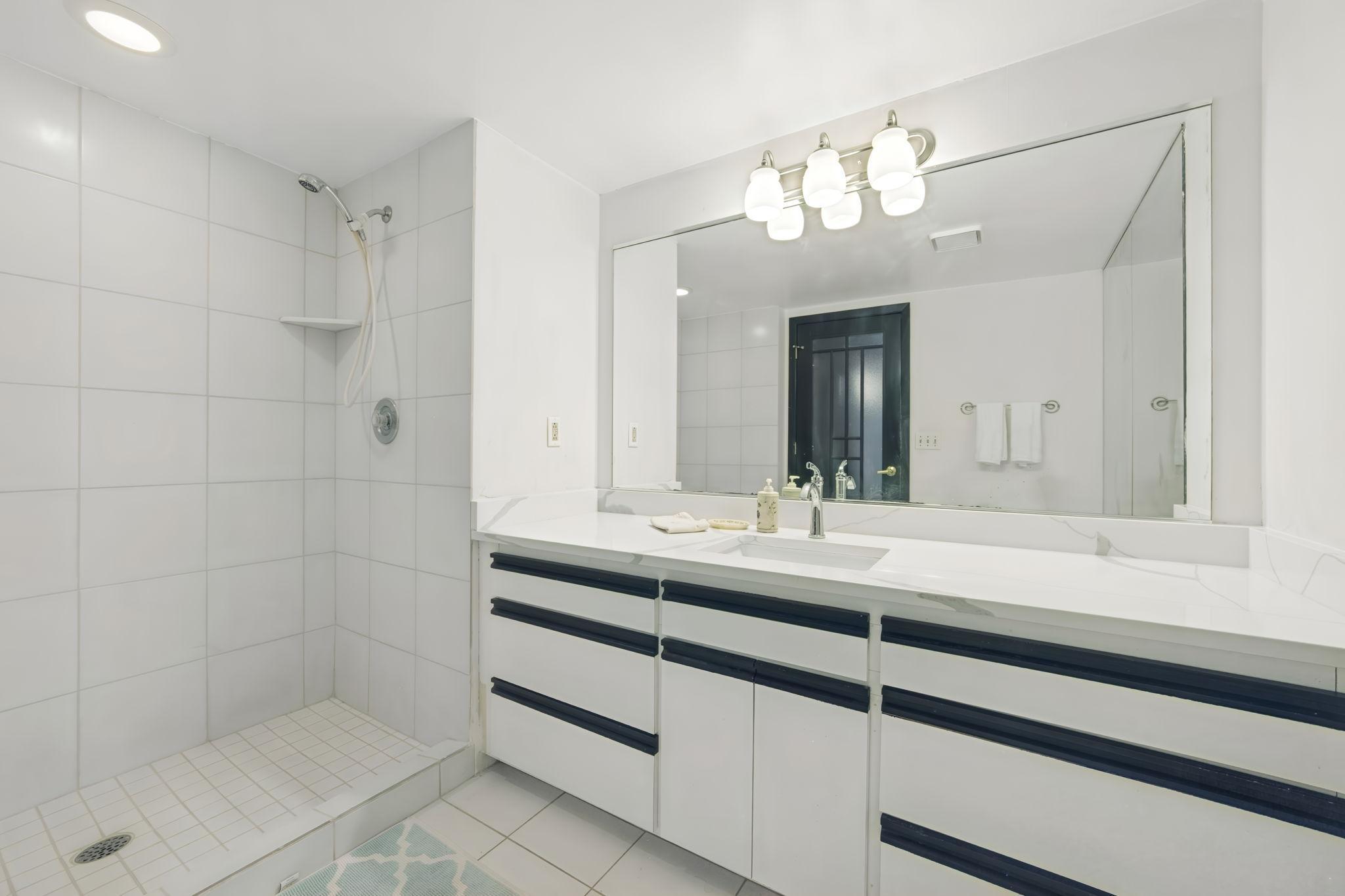 Lower Level 3/4 Bathroom