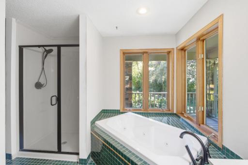 5994 425th St - Main Floor Primary Full Bathroom with Separate Tub and Shower
