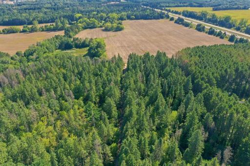 5994 425th St - Aerial of Land - Hunt, ATV, Full Recreational Potential!