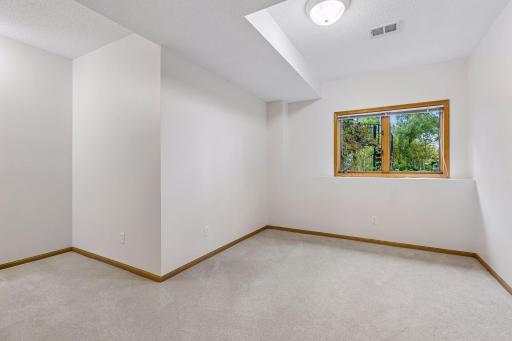 Second lower level bedroom with walk-in closet.