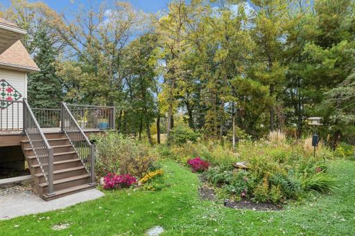 Lovely colorful plantings in the backyard.