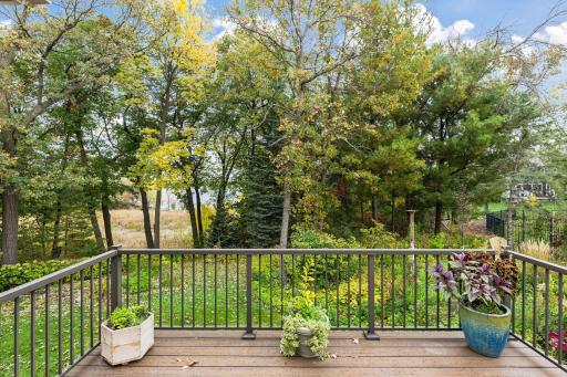 Panoramic scenic views of woods, nature, wildlife and Lake Marion lake views for your deck.