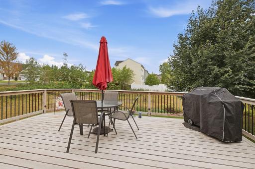 Brazilian Tigerwood deck installed in 2015 overlooks backyard and natural area south and east of home.