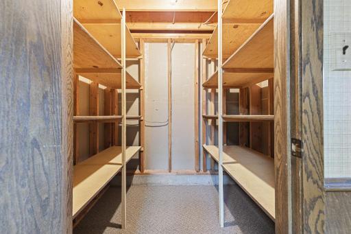 Walk-in storage closet off of the family room