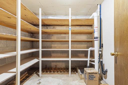 Pantry/storage inside the utility room