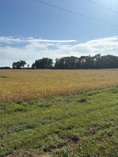 1030 1st Street W, Montevideo, MN 56265