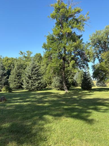 1030 1st Street W, Montevideo, MN 56265