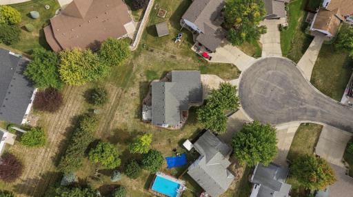 Birds Eye
