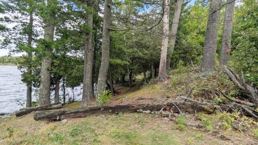4801 Ambassador Point Road, Orr, MN 55771